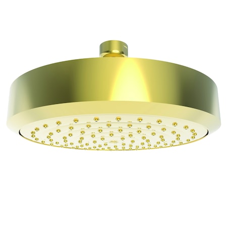 Newport Brass Single Function Shower Head in Forever Brass (Pvd) 2141-01